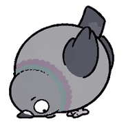 006