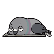 017
