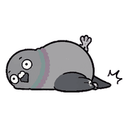 020