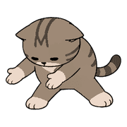 005