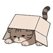 019
