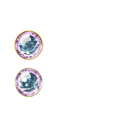 244