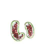 048
