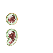 243