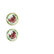 244