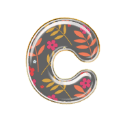 003