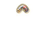070
