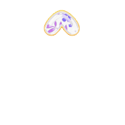 070