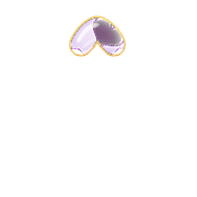 070