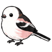 009
