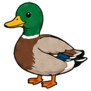 013