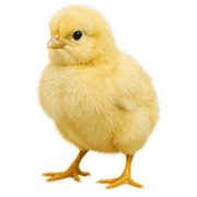 012