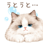 011