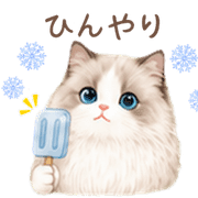036