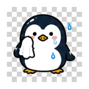 029