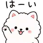 003