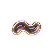 224