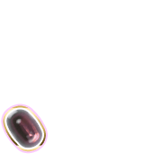 256