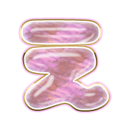 004