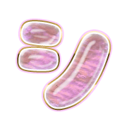 092