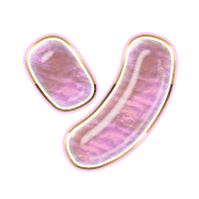 095