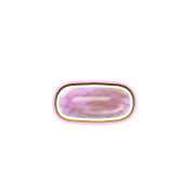 251