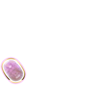 256
