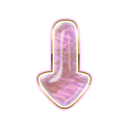 261