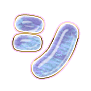 092