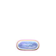 250