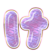 009