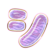 092