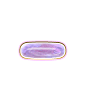 161