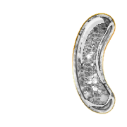 073