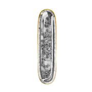 081