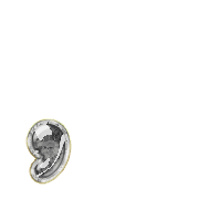 084