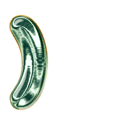 074