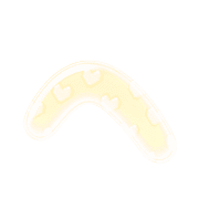 029