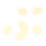 073