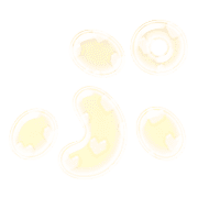078