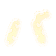 151
