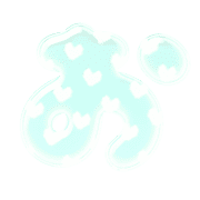 005