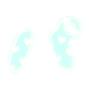 156