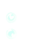 244