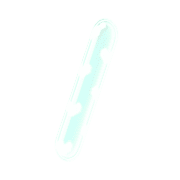 247