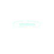 251