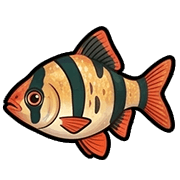 036