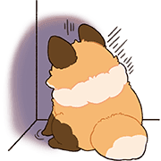 017