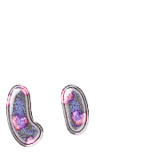 048