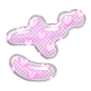 061